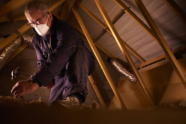 Best Commercial Insulation in Franklin, PA
